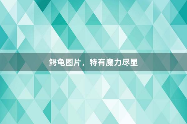 鳄龟图片，特有魔力尽显